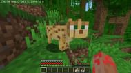 An Ocelot in Jungle (Image via Minecraft)